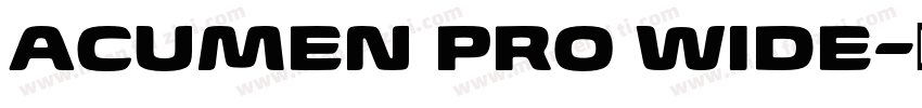ACUMEN PRO WIDE字体转换